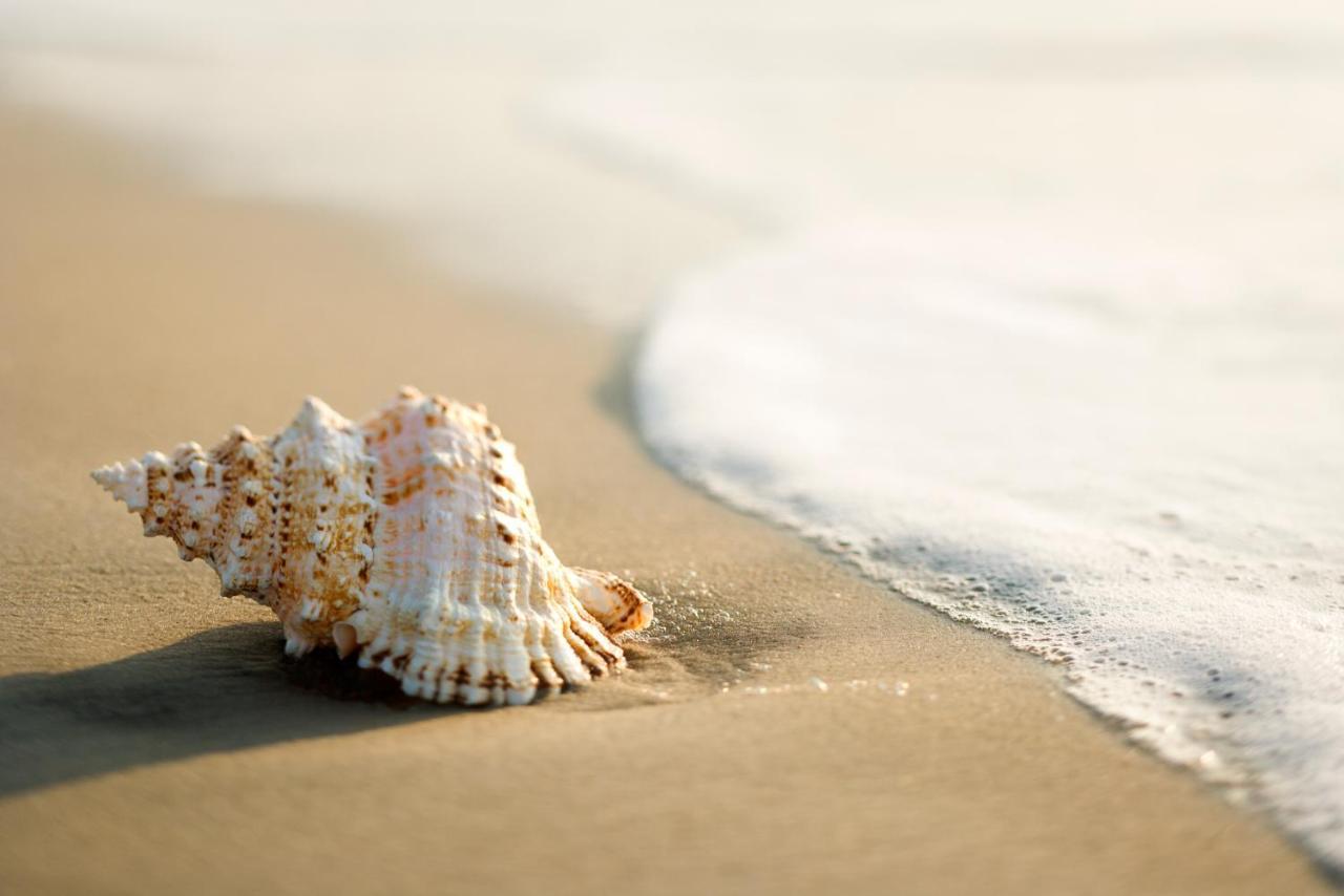 Hotel Canasta Riccione Ngoại thất bức ảnh